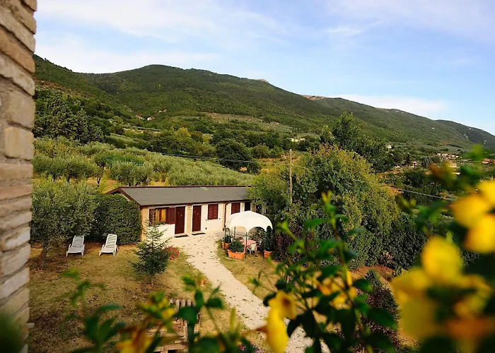 Casa vacanza: Colle Degli Olivi